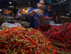 Read more about the article Bawang, Cabai, dan Ayam Alami Penurunan Harga Nasional