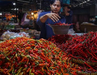 Read more about the article Bawang, Cabai, dan Ayam Alami Penurunan Harga Nasional